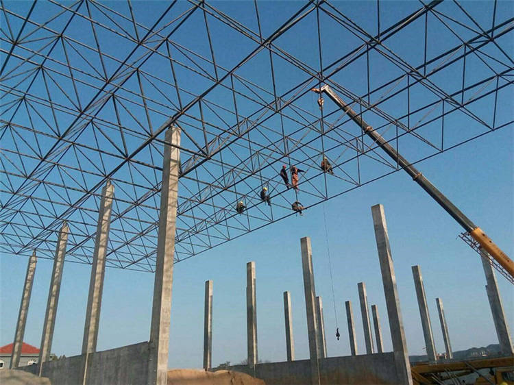 牡丹江加气站钢结构网架案例10